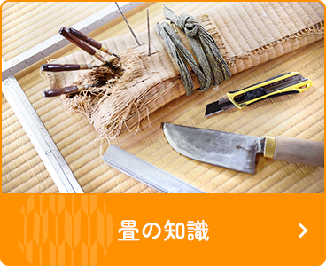 畳の知識