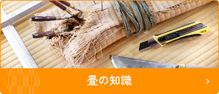畳の知識